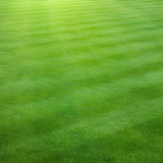 Emozioni dallo Sport: Calcio e Tennis al Centro dell'Attualit